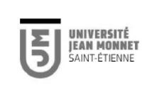 logo_ujm logos partenaires Dessintey
