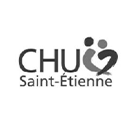DESS_logo_chu_stE
