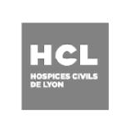 DESS_logo_hcl