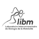 v DESS_logo_libm