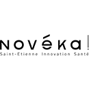 DESS_logo_noveka