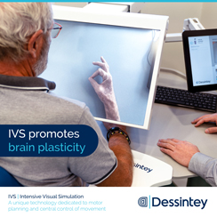 Dessintey brochure IVS